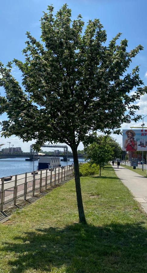 Floating Apartments - Odra Dream Szczecin Exterior foto